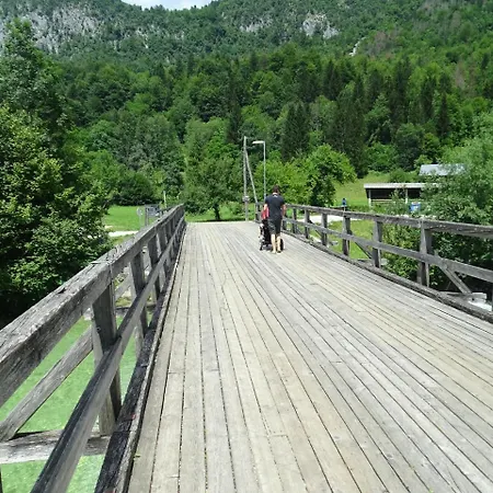 Apartma Košnik *