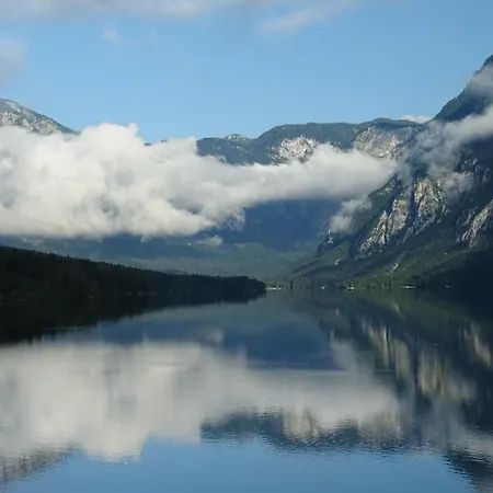 Apartma Košnik * Bohinj