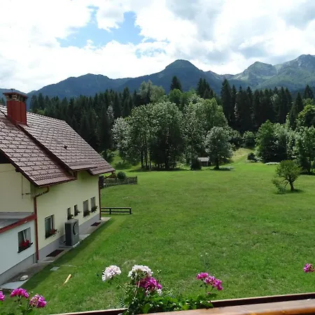 Apartma Kosnik *